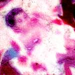 image: Image from the photoset ‘
damage (vi)
’.