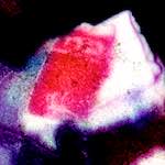 image: Image from the photoset ‘
damage (vi)
’.