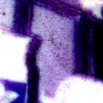 image: Image from the photoset ‘
damage (vi)
’.