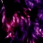 image: Image from the photoset ‘
damage (viii)
’.