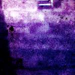 image: Image from the photoset ‘
damage (viii)
’.