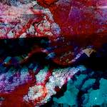 image: Image from the photoset ‘
damage (viii)
’.