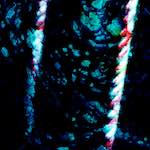 image: Image from the photoset ‘
damage (ix)
’.