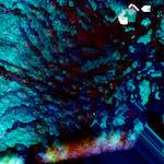 image: Image from the photoset ‘
damage (ix)
’.