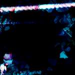 image: Image from the photoset ‘
damage (ix)
’.