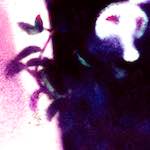 image: Image from the photoset ‘
damage (ix)
’.