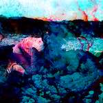 image: Image from the photoset ‘
damage (x)
’.