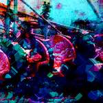 Image: First image from the photoset 'damage (xi)'.