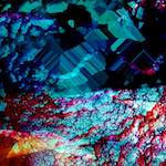 image: Image from the photoset ‘
damage (xii)
’.