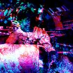 image: Image from the photoset ‘
damage (xii)
’.