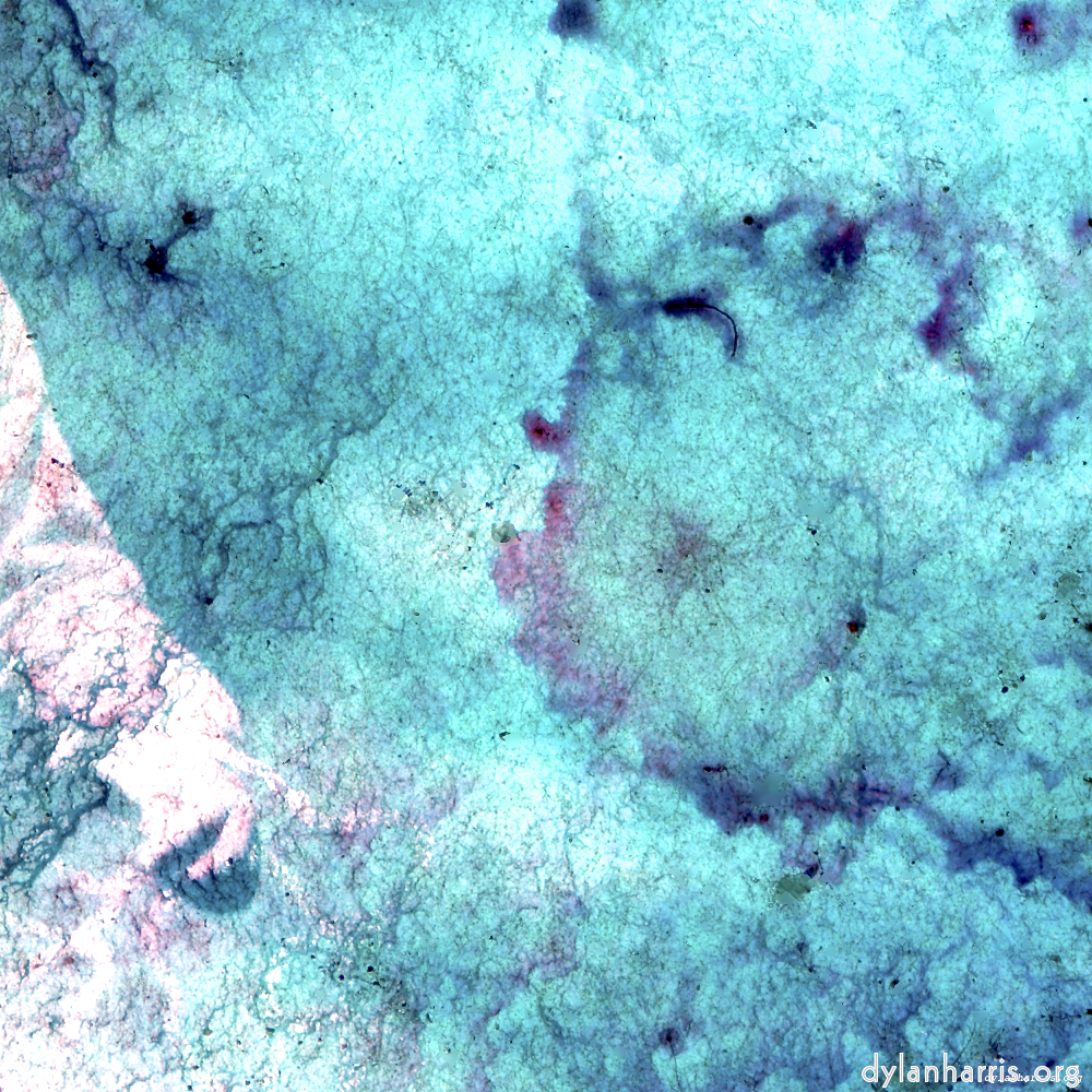 image: This is ‘
damage (xiii) 7
’.