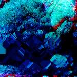 image: Image from the photoset ‘
damage (xiii)
’.