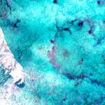 image: Image from the photoset ‘
damage (xiii)
’.