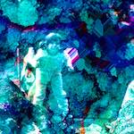 image: Image from the photoset ‘
damage (xiii)
’.