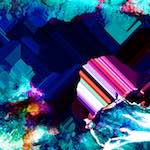 image: Image from the photoset ‘
damage (xiii)
’.