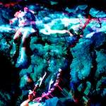 image: Image from the photoset ‘
damage (xiv)
’.