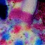 image: Image from the photoset ‘
damage (xiv)
’.