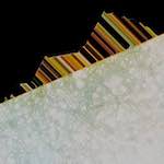 image: Image from the photoset ‘
damage (clxii)
’.