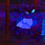 Image: Third image from the photoset 'damage (clxiv)'.