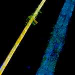 image: Image from the photoset ‘
damage (clxvi)
’.