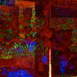 image: Image from the photoset ‘
damage (clxvi)
’.