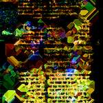 image: Image from the photoset ‘
damage (clxvii)
’.