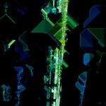 image: Image from the photoset ‘
damage (clxviii)
’.