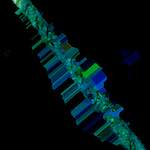 image: Image from the photoset ‘
damage (clxxii)
’.