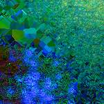 image: Image from the photoset ‘
damage (clxxiv)
’.