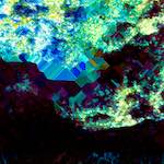 image: Image from the photoset ‘
damage (clxxv)
’.