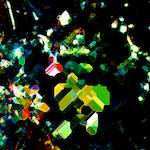 image: Image from the photoset ‘
damage (clxxvi)
’.