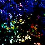 image: Image from the photoset ‘
damage (clxxvi)
’.