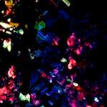 image: Image from the photoset ‘
damage (clxxvi)
’.