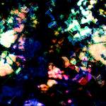 image: Image from the photoset ‘
damage (clxxvi)
’.