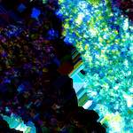 image: Image from the photoset ‘
damage (clxxvii)
’.