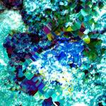 image: Image from the photoset ‘
damage (clxxviii)
’.