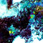 image: Image from the photoset ‘
damage (clxxviii)
’.