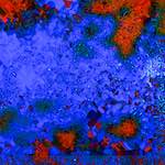 image: Image from the photoset ‘
damage (clxxix)
’.