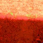 image: Image from the photoset ‘
damage (clxxx)
’.