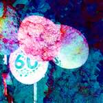 image: Image from the photoset ‘
damage (xxv)
’.