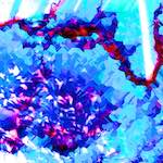 image: Image from the photoset ‘
damage (xxv)
’.