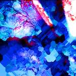 image: Image from the photoset ‘
damage (xxvi)
’.