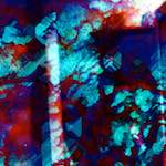 image: Image from the photoset ‘
damage (xxvii)
’.