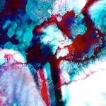 image: Image from the photoset ‘
damage (xxvii)
’.