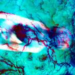 image: Image from the photoset ‘
damage (xxvii)
’.