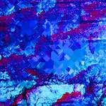 image: Image from the photoset ‘
damage (xxviii)
’.