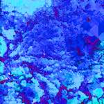 image: Image from the photoset ‘
damage (xxviii)
’.