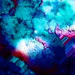 image: Image from the photoset ‘
damage (xxviii)
’.