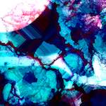 image: Image from the photoset ‘
damage (xxix)
’.