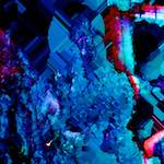 image: Image from the photoset ‘
damage (xxx)
’.